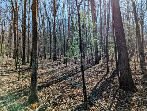 0 President Jackson Rd, Max Meadows, VA 24360 photo 2