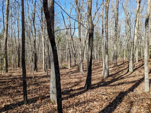 0 President Jackson Rd, Max Meadows, VA 24360 photo 11