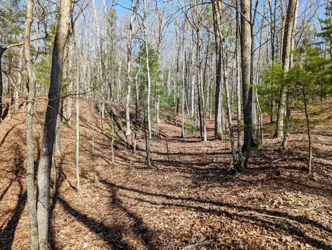 0 President Jackson Rd, Max Meadows, VA 24360 photo 5