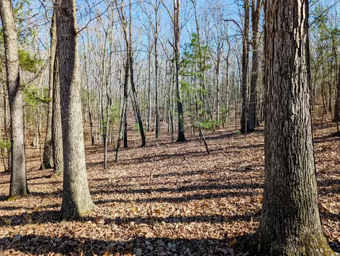0 President Jackson Rd, Max Meadows, VA 24360 photo 10
