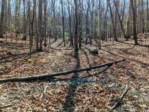 0 President Jackson Rd, Max Meadows, VA 24360 photo 6