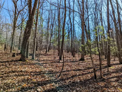 0 President Jackson Rd, Max Meadows, VA 24360 photo 7