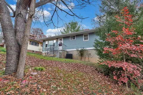 1107 Brookhaven Dr, Covington, VA 24426 photo 35