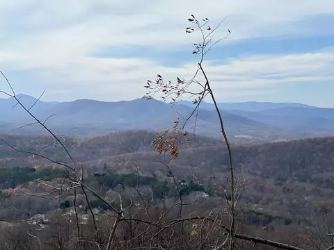 0 Mill Iron Rd, Goodview, VA 24095 photo 6
