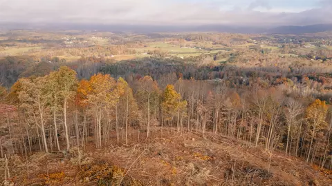 0 Mill Iron Rd, Goodview, VA 24095 photo 11