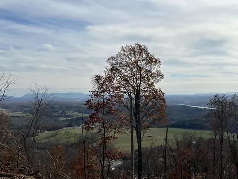 0 Mill Iron Rd, Goodview, VA 24095 photo 5