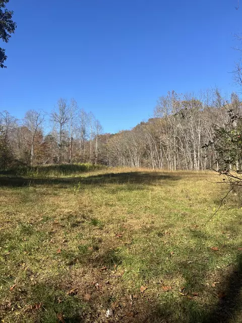 0 Lapsley Run Rd, Eagle Rock, VA 24085