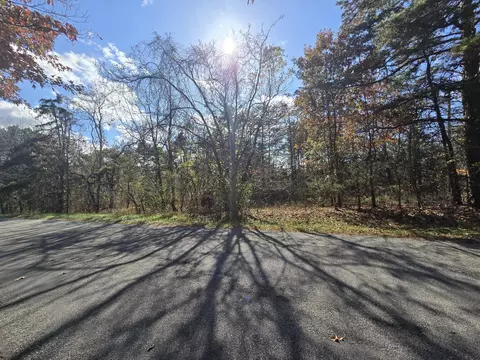 0 Buttercup Ln, Thaxton, VA 24174