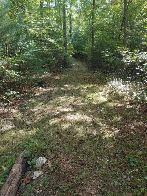 0 Reece Rd SW, Willis, VA 24380 photo 17