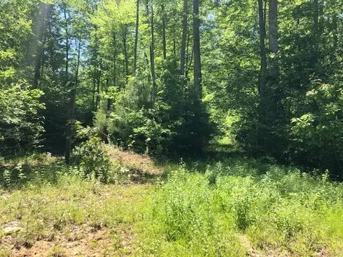 0 Reece Rd SW, Willis, VA 24380 photo 4