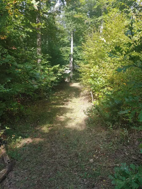 0 Reece Rd SW, Willis, VA 24380 photo 16