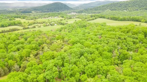 Other - 11131 Acorn Ln, Broadway, VA 22815 photo 14 of 19