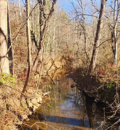3240 Fork Mountain Rd, Rocky Mount, VA 24151 photo 62