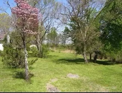 2562 Sandy River Rd, Axton, VA 24054 photo 3