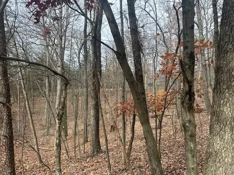 lot11 Stonebridge Dr, Blue Ridge, VA 24064