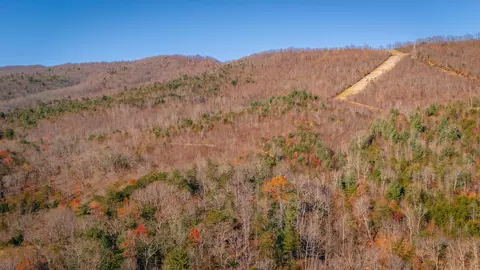 0 Bacchus Ln, Elliston, VA 24087 photo 3