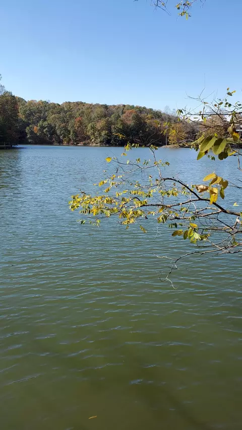 lot5 Hidden Grove Ct, Goodview, VA 24095