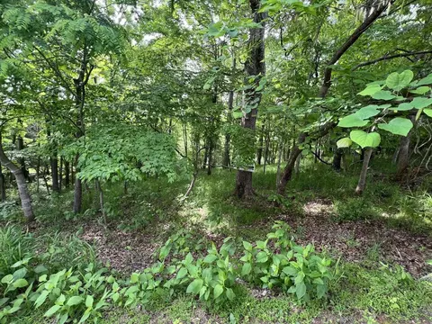lot21 Twin Lake Dr, Bedford, VA 24523