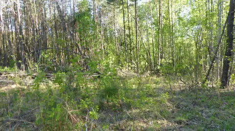 1 Dusty Lane, Martinsville, VA 24112