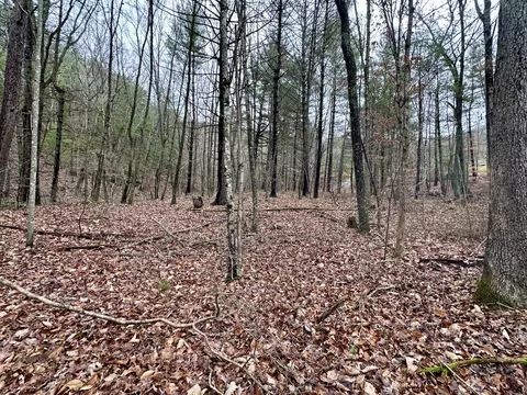 tbd Pilot Rd, Pilot, VA 24138