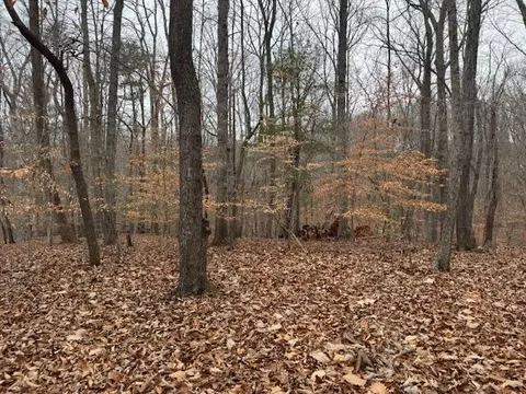 lot24 Old Post Rd, Moneta, VA 24121