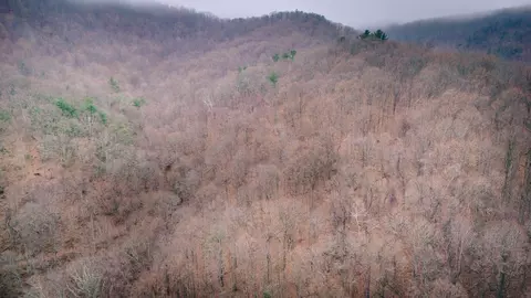 0 Martins Creek Rd, Roanoke, VA 24018