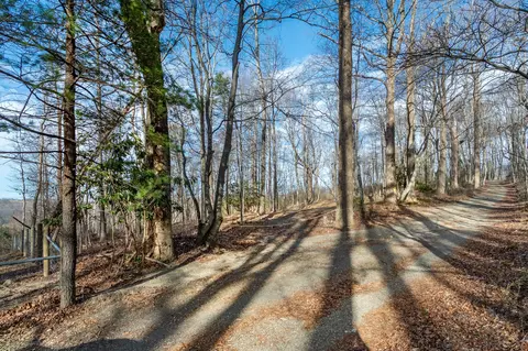 tbd Blue Rdg Pkwy, Fancy Gap, VA 24328