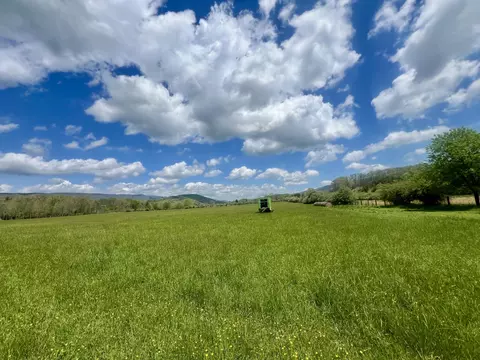 0 Johns Creek Mountain Rd, New Castle, VA 24127