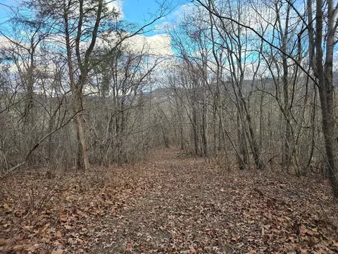 0 Main Street Rd, Buchanan, VA 24066