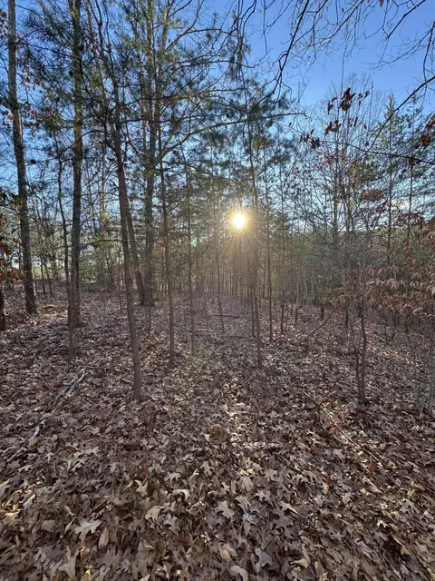 lot49 Garrison Rdg, Pittsville, VA 24139