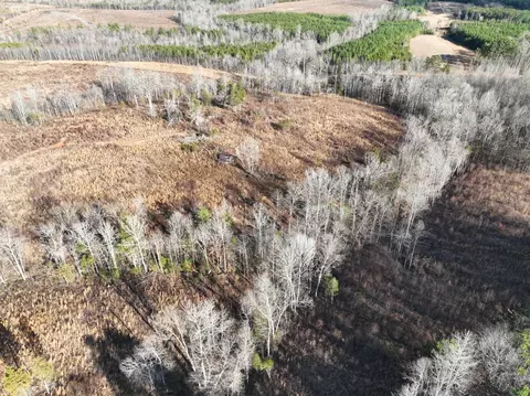 0 Green Level Rd, Scottsburg, VA 24589
