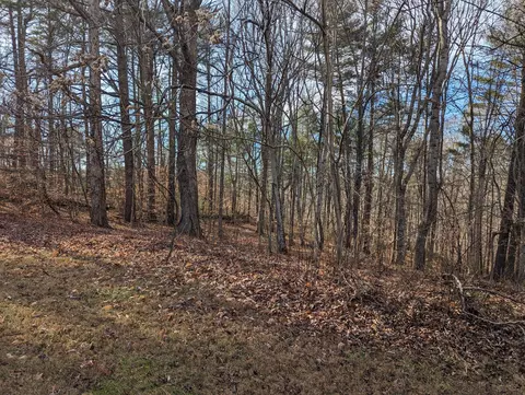 441 Haw Patch Rd, Ferrum, VA 24088 photo 8