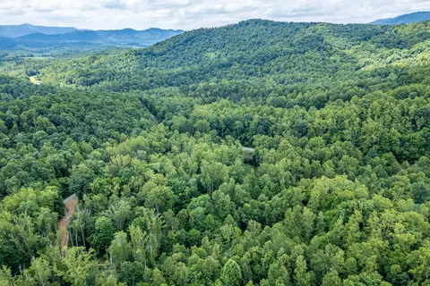 0 Woolwine Hwy, Woolwine, VA 24185 photo 4