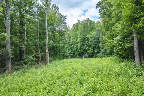 0 Woolwine Hwy, Woolwine, VA 24185 photo 15