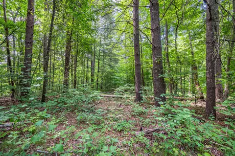 0 Woolwine Hwy, Woolwine, VA 24185 photo 18