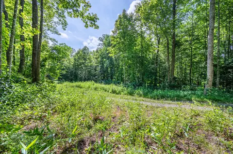 0 Woolwine Hwy, Woolwine, VA 24185 photo 14