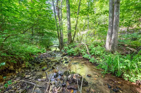 0 Woolwine Hwy, Woolwine, VA 24185 photo 10