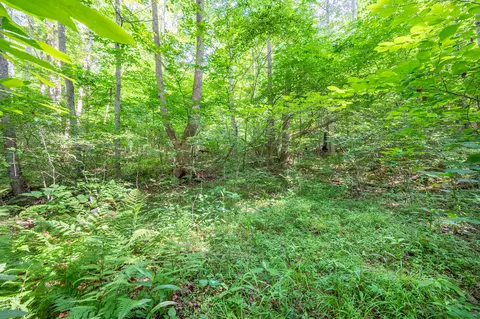 0 Woolwine Hwy, Woolwine, VA 24185 photo 13