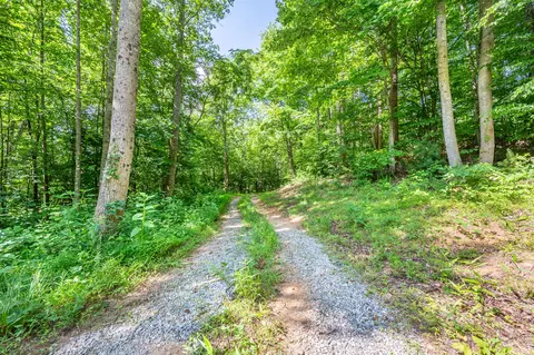 0 Woolwine Hwy, Woolwine, VA 24185 photo 17