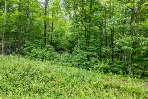 0 Woolwine Hwy, Woolwine, VA 24185 photo 16