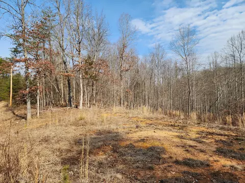lot18 Turkey Run Ln, Wirtz, VA 24184