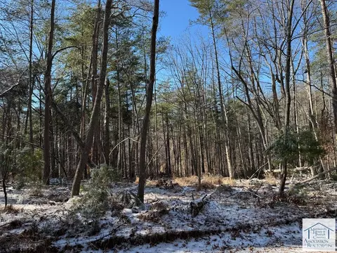 0 Blue Bend Rd, Rocky Mount, VA 24151