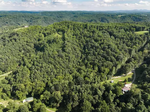 0 Griffith Creek Rd, Check, VA 24072