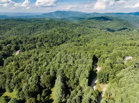 0 Griffith Creek Rd, Check, VA 24072 photo 6