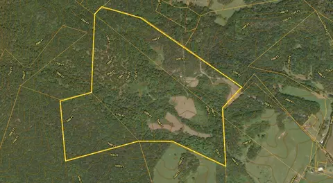 305 County Line Rd, Buchanan, VA 24066 photo 12