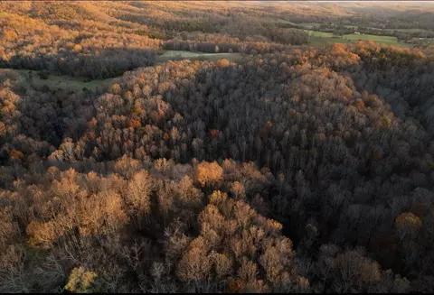 305 County Line Rd, Buchanan, VA 24066 photo 10