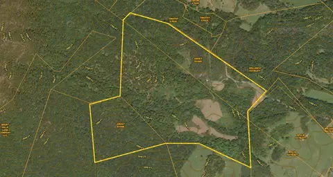 305 County Line Rd, Buchanan, VA 24066 photo 13