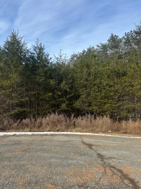 lot50 Dillon Cabin Rd, Moneta, VA 24121
