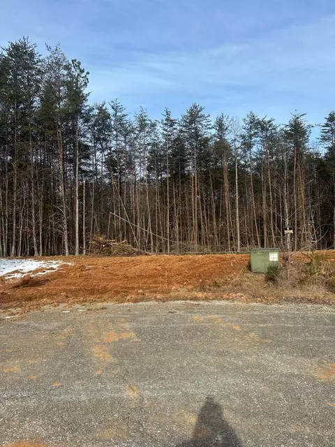 lot49 Dillon Cabin Rd, Moneta, VA 24121