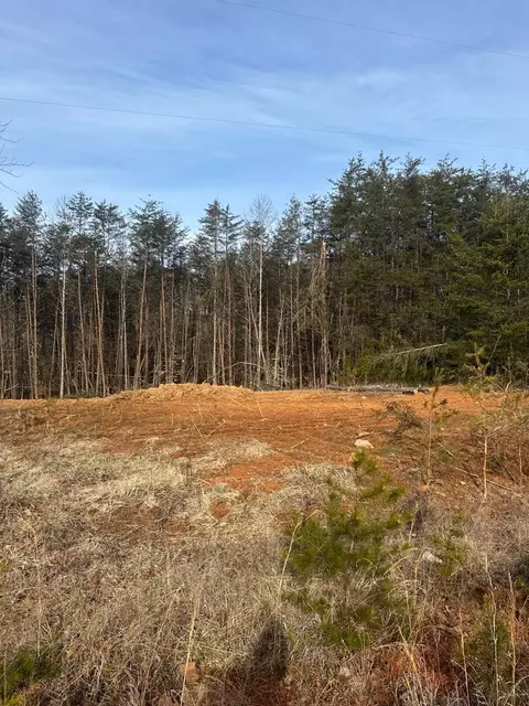 lot48 Dillon Cabin Rd, Moneta, VA 24121